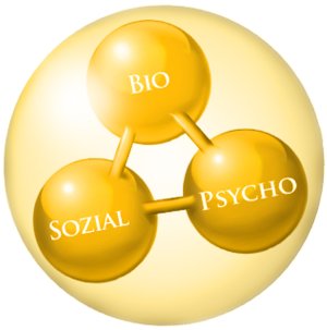 Bio-Psycho Soziales Modell